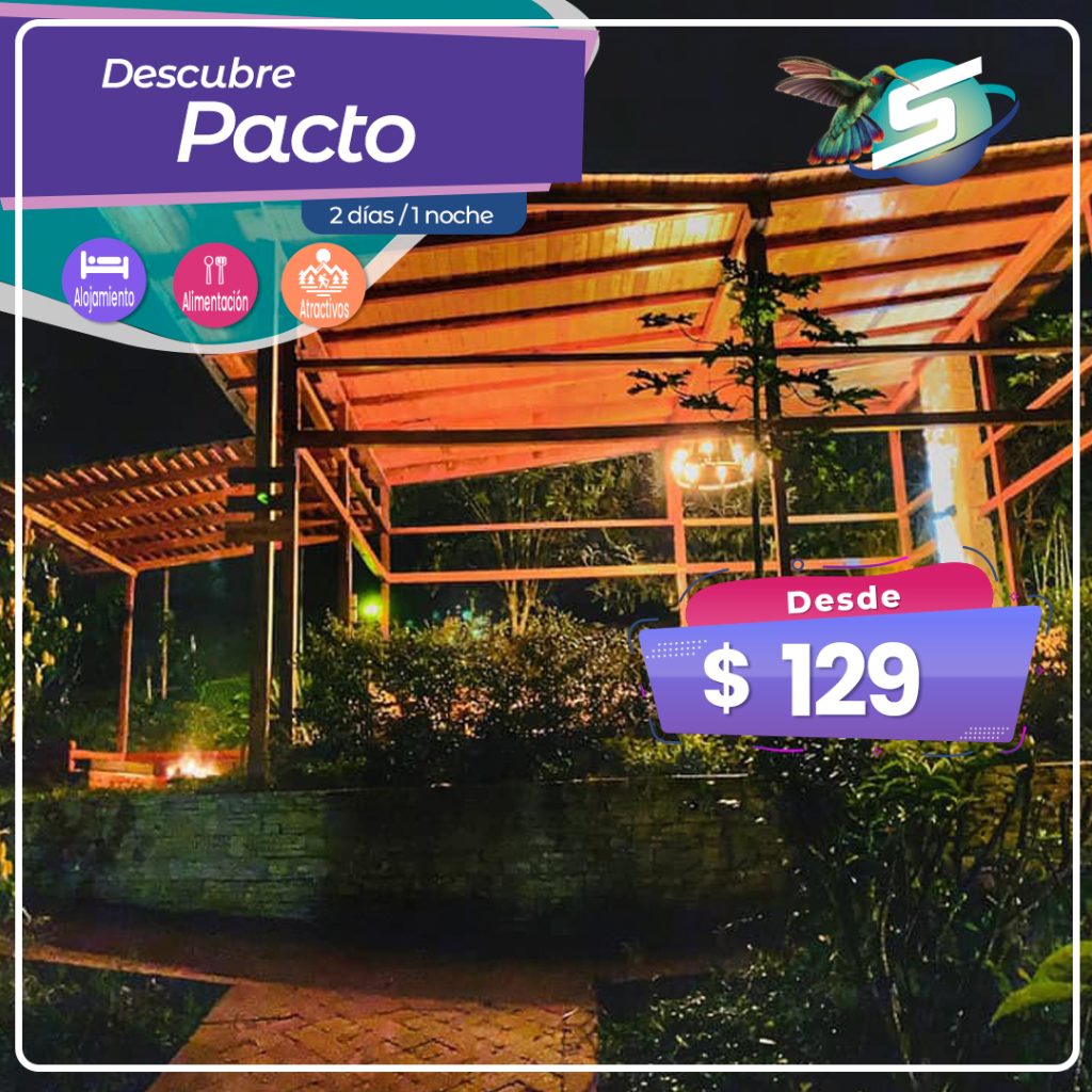 Descubre Pacto