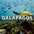 ofertasGalapagos