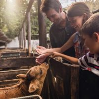 Instalaciones Hotel San José 3